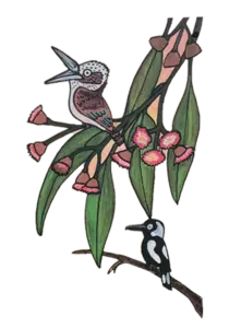 Kppkaburra and magpie in a branch illustration
