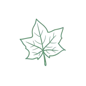 Leaf 3