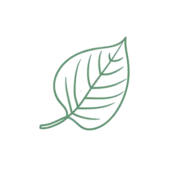 Leaf icon