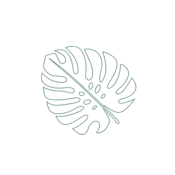 Leaf icon